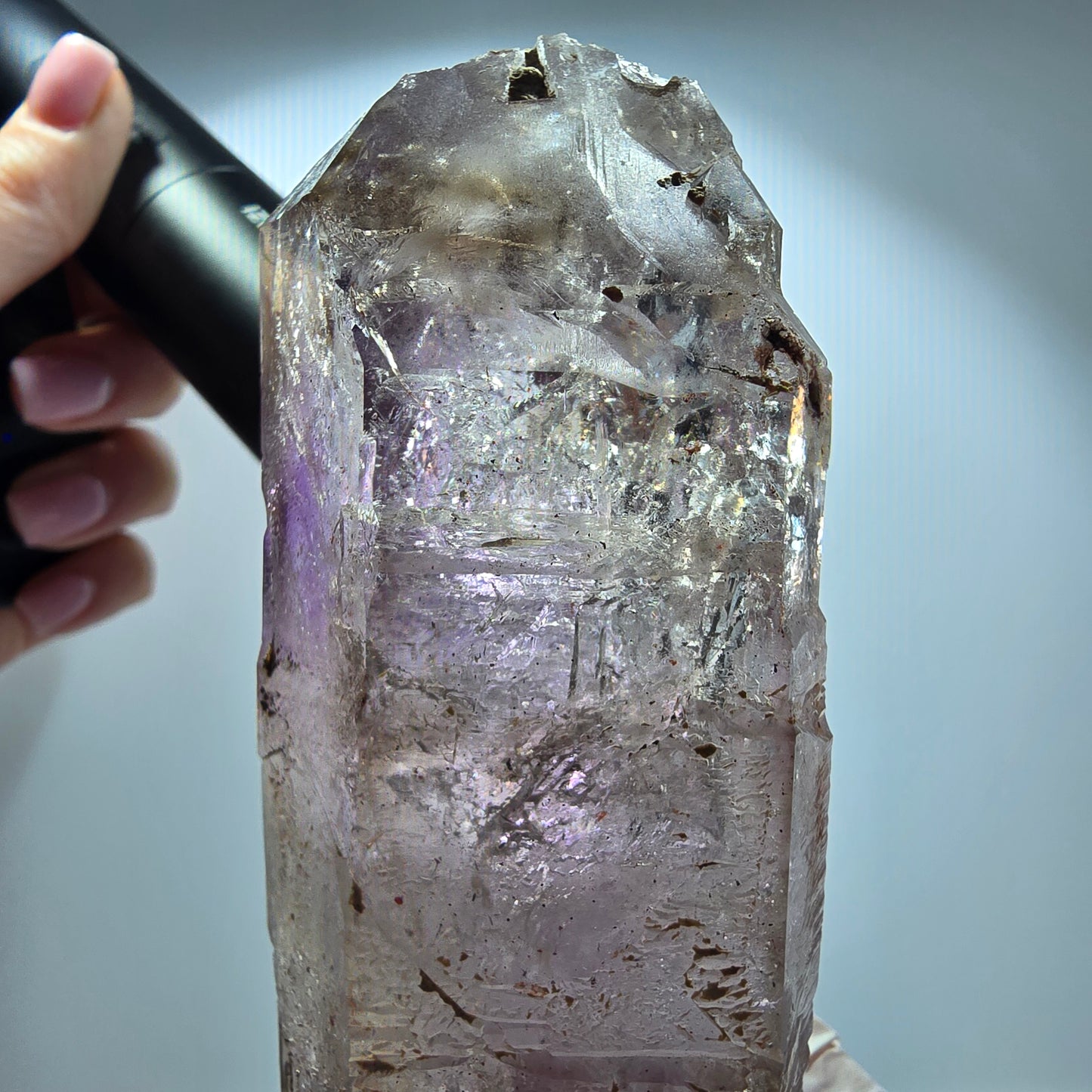 XL Enhydro Skelett Phantom Amethyst DT Zepter, 3x Blase Goboboseb, Namibia 138*44*37mm