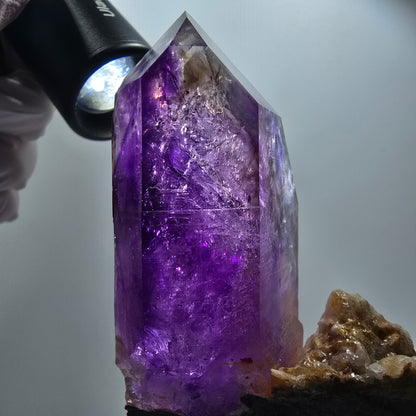 XL Enhydro Phantom Amethyst Zepter auf Matrix, 3x Blase Goboboseb, Namibia 103*66*35mm