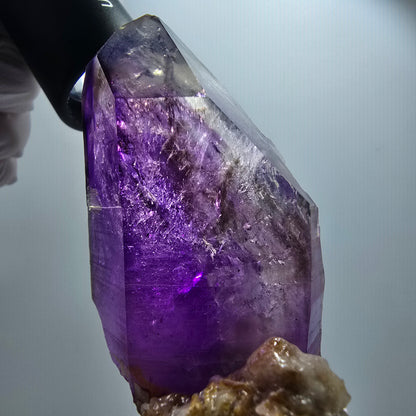 XL Enhydro Phantom Amethyst Zepter auf Matrix, 3x Blase Goboboseb, Namibia 103*66*35mm