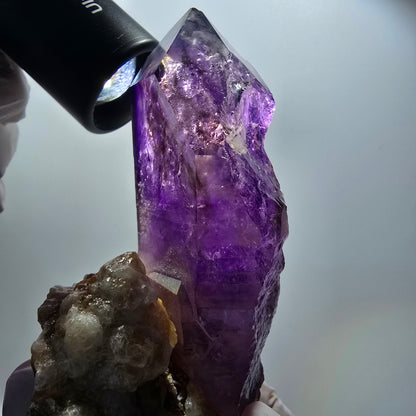 XL Enhydro Phantom Amethyst Zepter auf Matrix, 3x Blase Goboboseb, Namibia 103*66*35mm