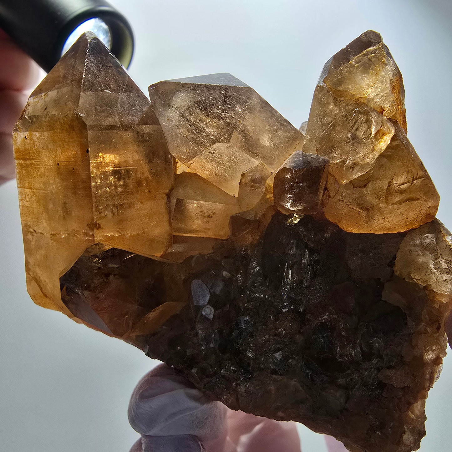 Large rutilated quartz smoky quartz scepter with golden needles, Erongo, Namibia, 88*64*56mm 