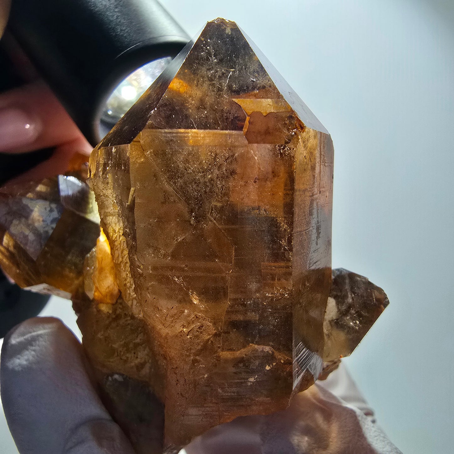 Large rutilated quartz smoky quartz scepter with golden needles, Erongo, Namibia, 88*64*56mm 