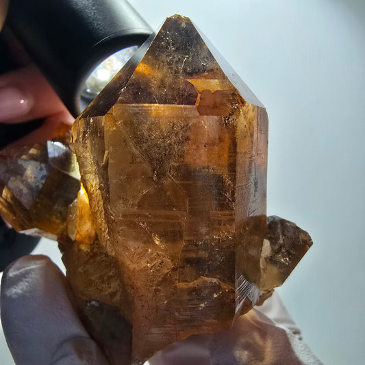 Large rutilated quartz smoky quartz scepter with golden needles, Erongo, Namibia, 88*64*56mm 