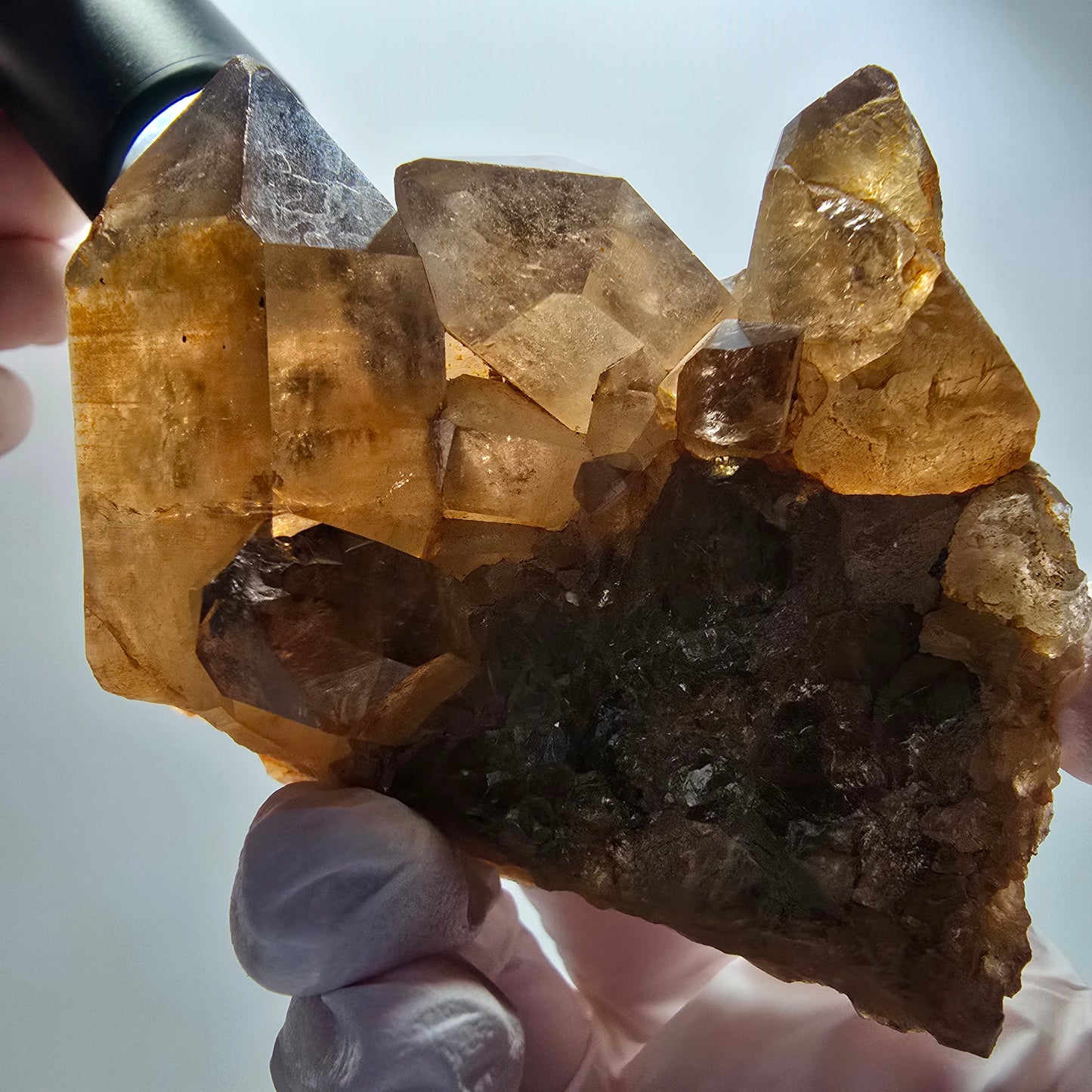 Large rutilated quartz smoky quartz scepter with golden needles, Erongo, Namibia, 88*64*56mm 