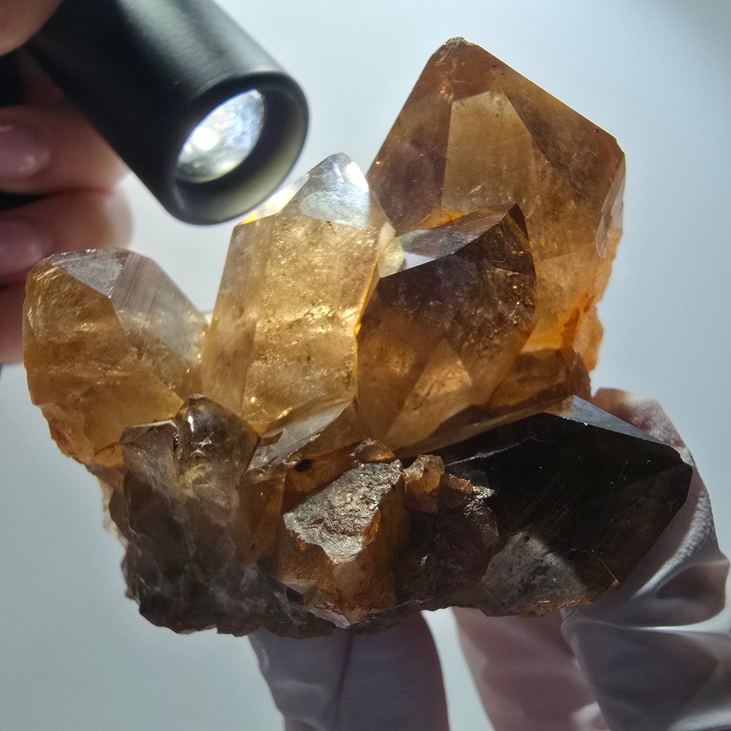 Large rutilated quartz smoky quartz scepter with golden needles, Erongo, Namibia, 88*64*56mm 
