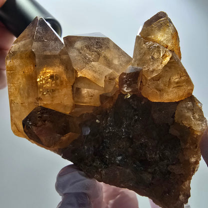 Large rutilated quartz smoky quartz scepter with golden needles, Erongo, Namibia, 88*64*56mm 