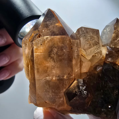 Large rutilated quartz smoky quartz scepter with golden needles, Erongo, Namibia, 88*64*56mm 