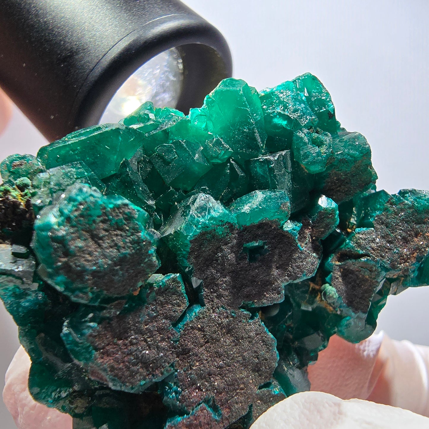 Seltene Dioptas XX Stufe, grün Republik Kongo 51*40*13mm