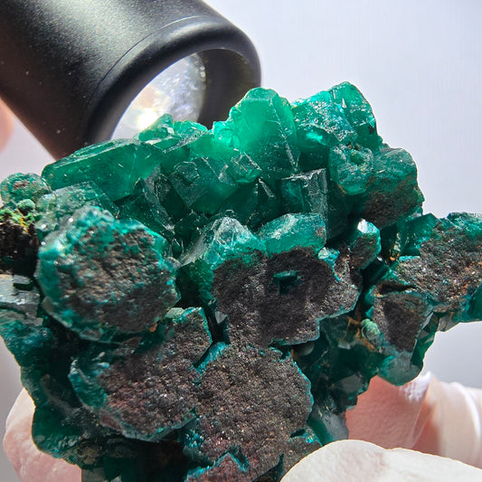 Seltene Dioptas XX Stufe, grün Republik Kongo 51*40*13mm