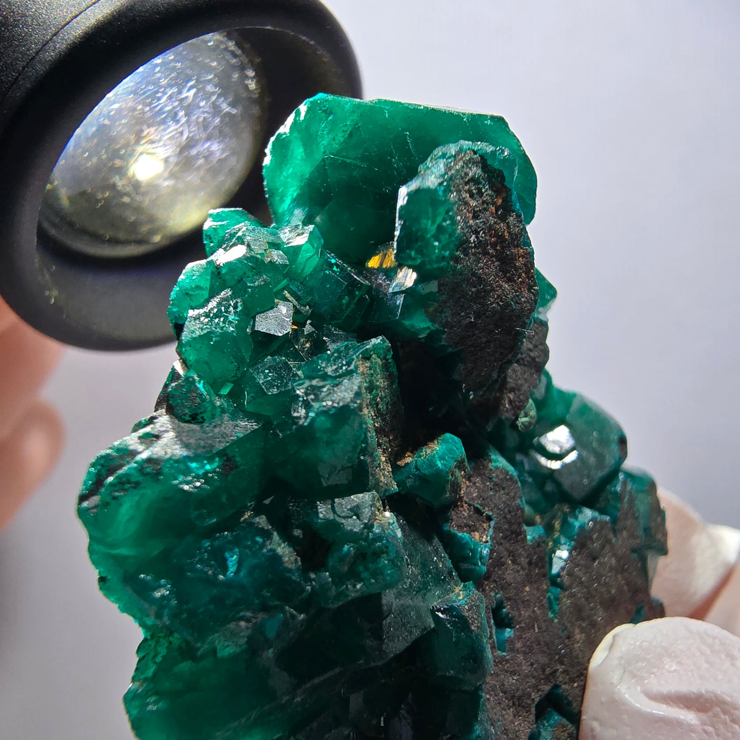 Seltene Dioptas XX Stufe, grün Republik Kongo 51*40*13mm