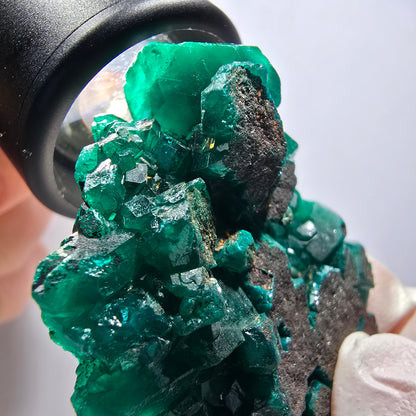 Seltene Dioptas XX Stufe, grün Republik Kongo 51*40*13mm