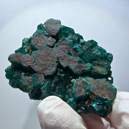 Seltene Dioptas XX Stufe, grün Republik Kongo 51*40*13mm