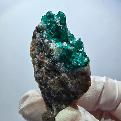 Seltene Dioptas auf Matrix Stufe, grün Republik Kongo 46*24*17mm