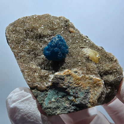 Cavansite rare sur matrice, Wagholi, Poona, Maharashtra, Inde, 59*43*28 mm 