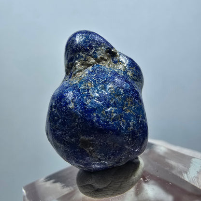 Seltene große Azurit Blueberry - poliert, Doppelkugel USA, New Mexico 24*16*16mm