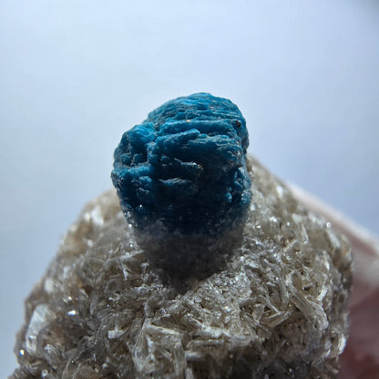 Rare cavansite on matrix, Wagholi, Poona, Maharashtra, India, 47*36*29mm 