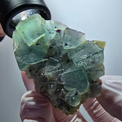 Seltene Phantom Fluorit Würfel, zonal, Quarz Stufe Brandberg, Namibia 49*34*40mm