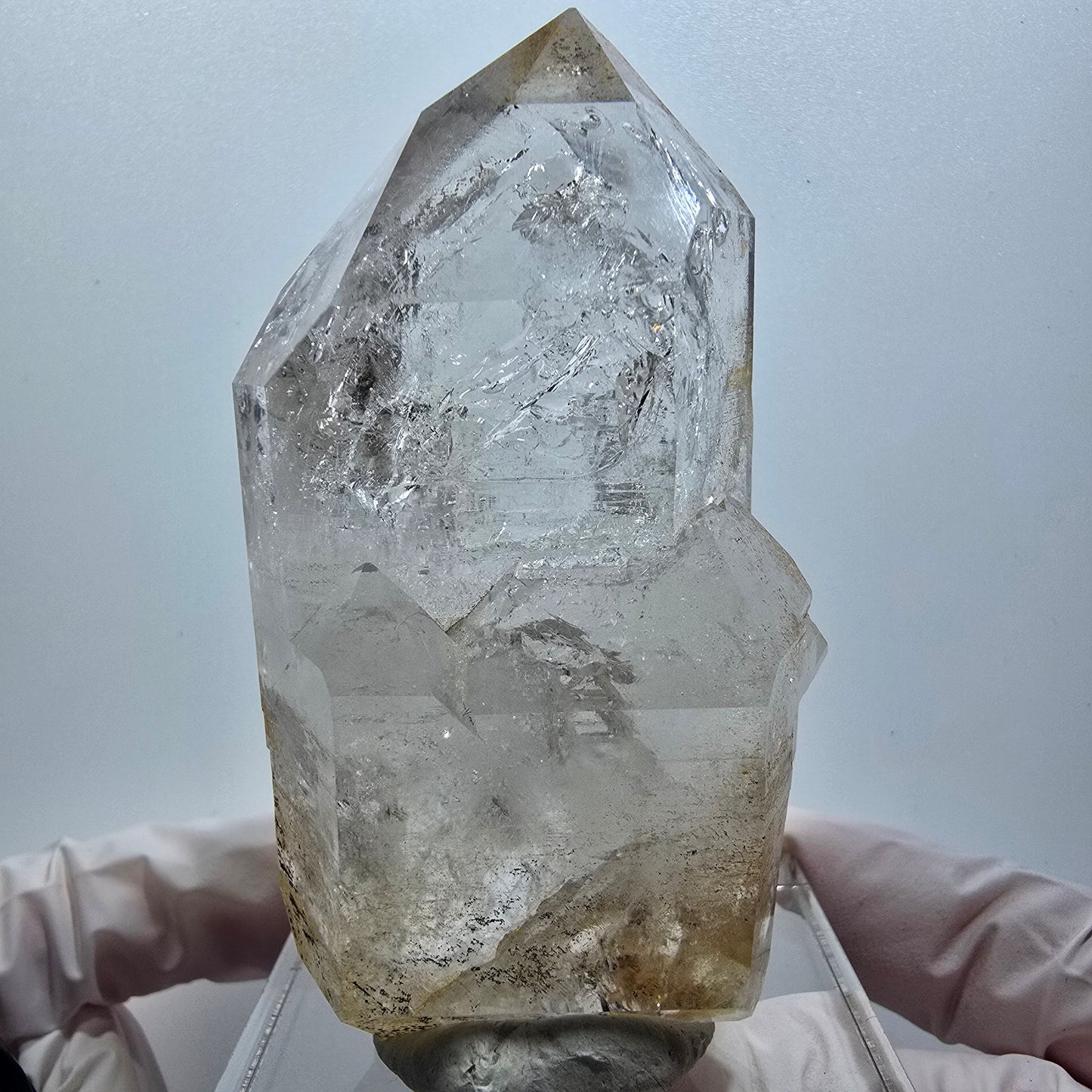 Enhydro Skelett Phantom Rauchquarz DT, 2x Blase (groß) Goboboseb, Namibia 77*43*32mm