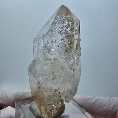 Enhydro Skelett Phantom Rauchquarz DT, 2x Blase (groß) Goboboseb, Namibia 77*43*32mm