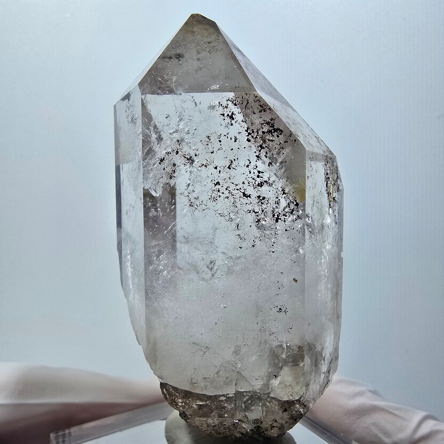 Seltene Skelett Phantom Rauchquarz Zepter Spitze Goboboseb, Namibia 76*39*32mm