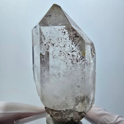 Seltene Skelett Phantom Rauchquarz Zepter Spitze Goboboseb, Namibia 76*39*32mm