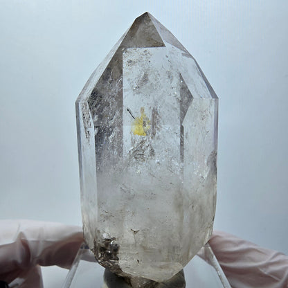 Seltene Skelett Phantom Rauchquarz Zepter Spitze Goboboseb, Namibia 76*39*32mm