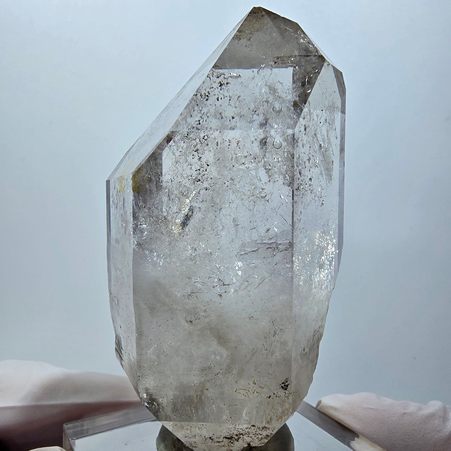 Seltene Skelett Phantom Rauchquarz Zepter Spitze Goboboseb, Namibia 76*39*32mm