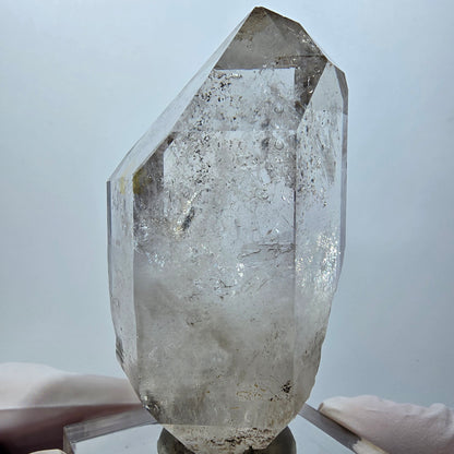 Seltene Skelett Phantom Rauchquarz Zepter Spitze Goboboseb, Namibia 76*39*32mm