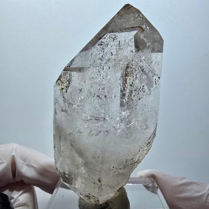 Seltene Skelett Phantom Rauchquarz Zepter Spitze Goboboseb, Namibia 76*39*32mm