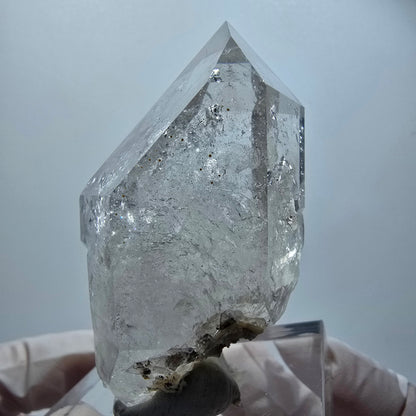 Enhydro Skelett Phantom Rauchquarz DT Zepter, 1x Blase Goboboseb, Namibia 65*37*35mm