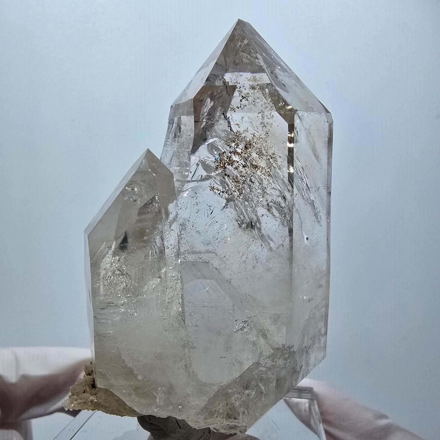 Große Skelett Phantom Rauchquarz DT Zepter Stufe Goboboseb, Namibia 77*49*33mm