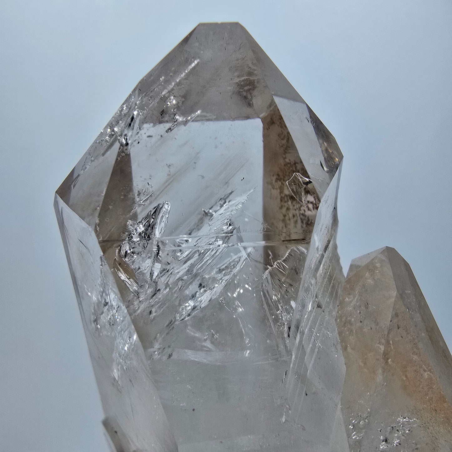 Große Skelett Phantom Rauchquarz DT Zepter Stufe Goboboseb, Namibia 77*49*33mm