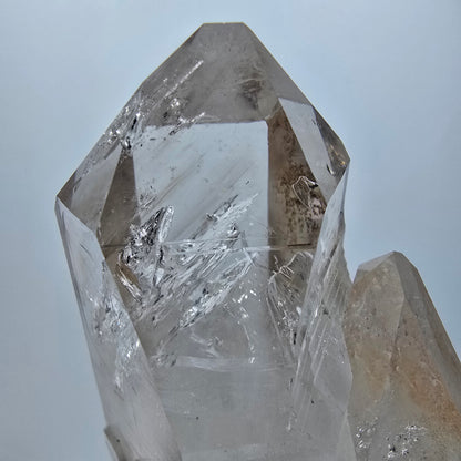 Große Skelett Phantom Rauchquarz DT Zepter Stufe Goboboseb, Namibia 77*49*33mm