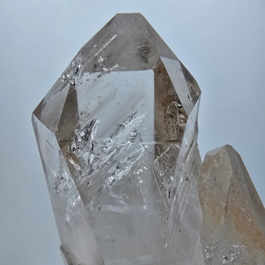 Große Skelett Phantom Rauchquarz DT Zepter Stufe Goboboseb, Namibia 77*49*33mm