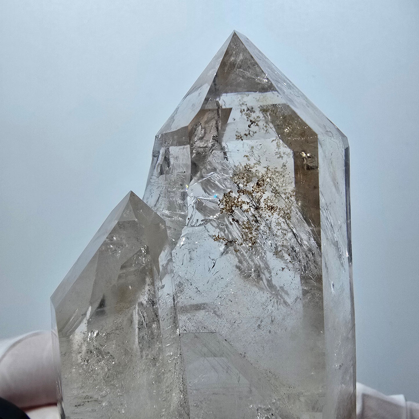 Große Skelett Phantom Rauchquarz DT Zepter Stufe Goboboseb, Namibia 77*49*33mm