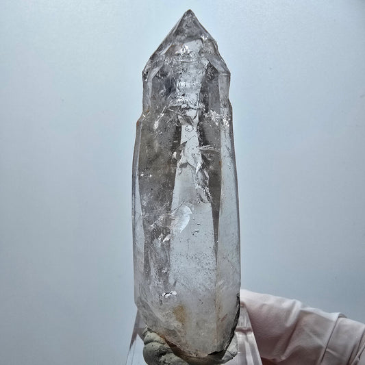 Enhydro Skelett Phantom Rauchquarz Zepter Goboboseb, Namibia 70*22*19mm