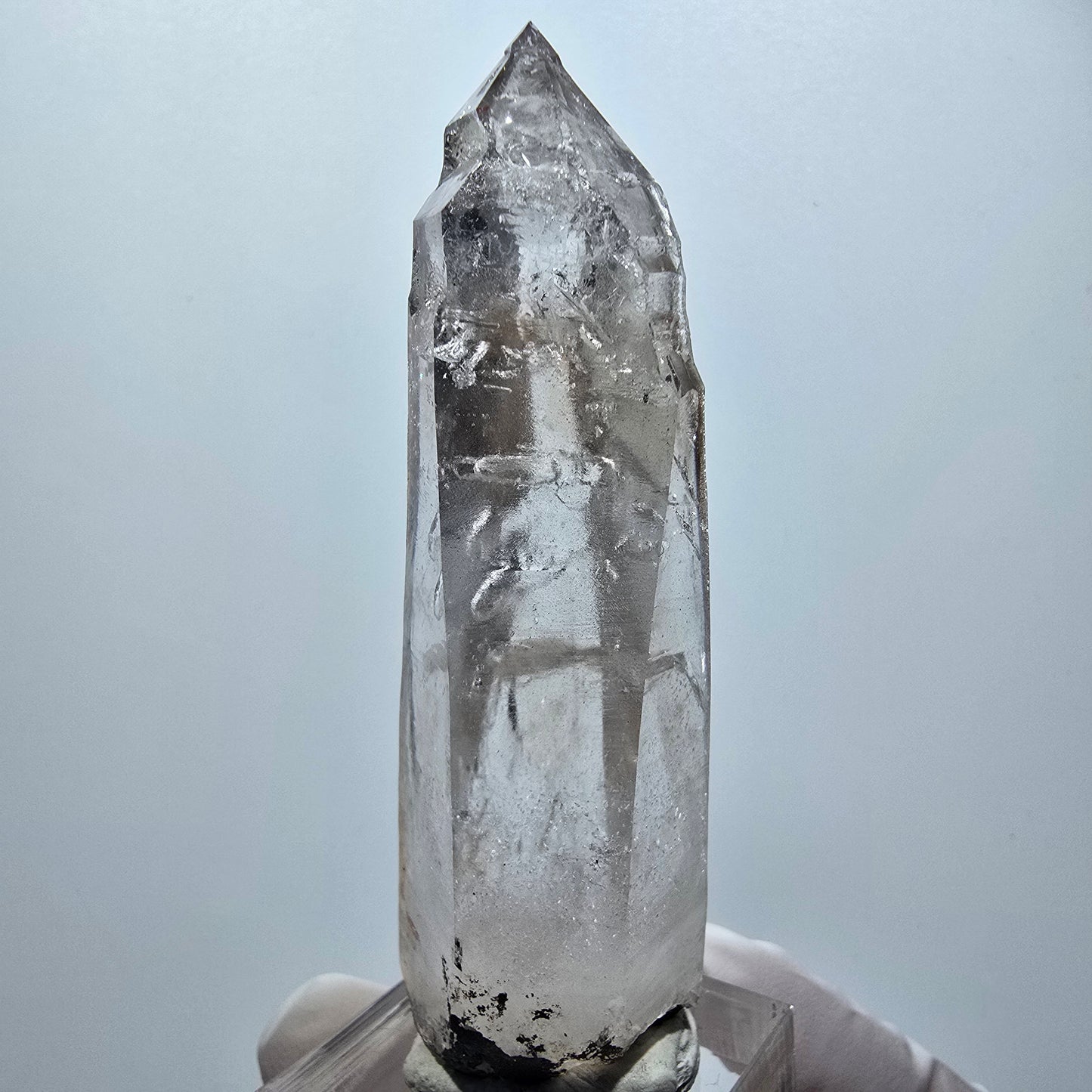 Enhydro Skelett Phantom Rauchquarz Zepter Goboboseb, Namibia 70*22*19mm