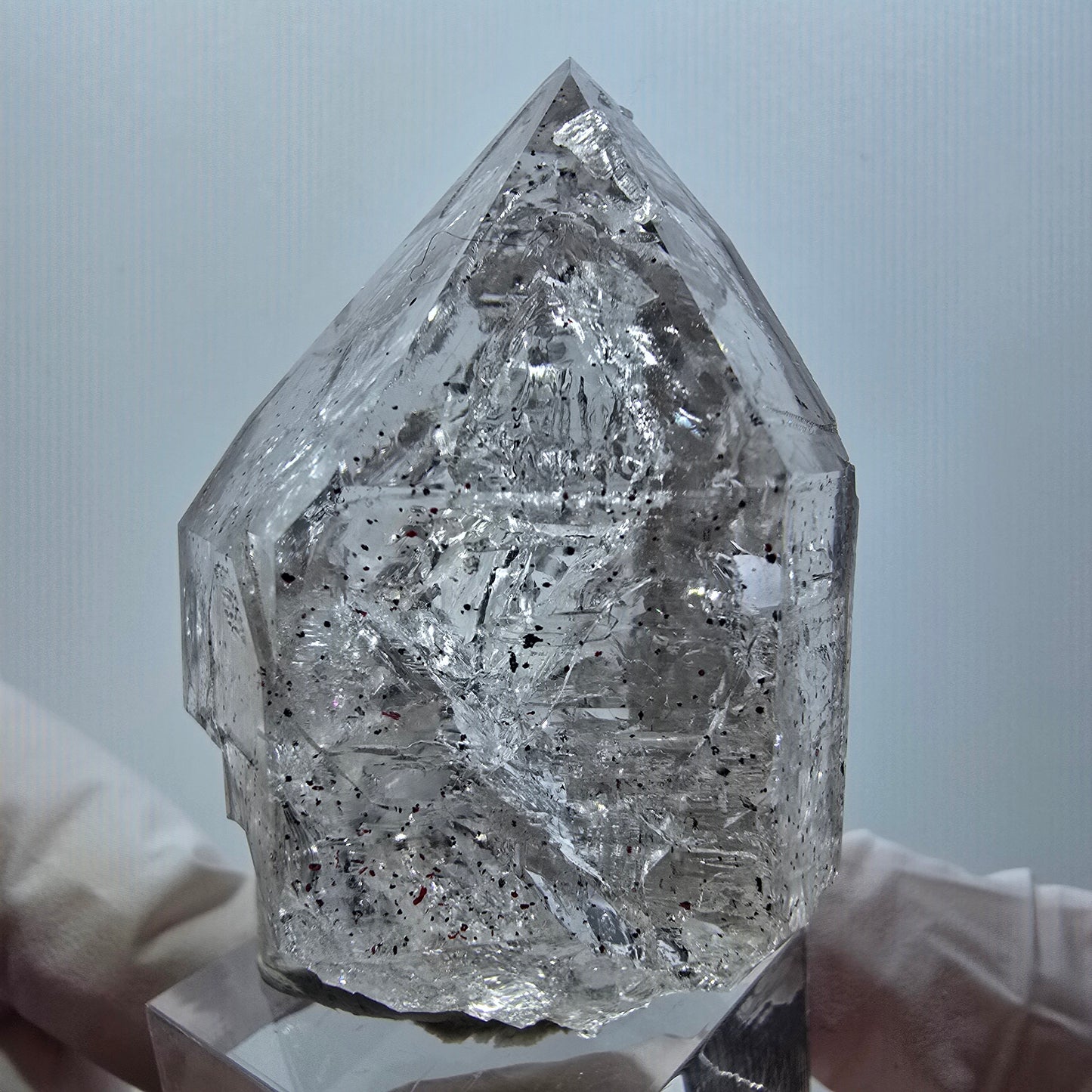 Enhydro Skelett Phantom Rauchquarz DT Zepter, 1x Blase Goboboseb, Namibia 56*36*29mm