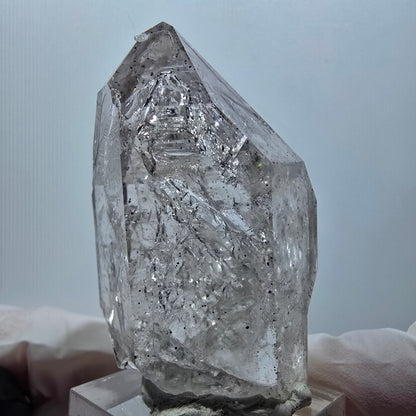 Enhydro Skelett Phantom Rauchquarz DT Zepter, 1x Blase Goboboseb, Namibia 56*36*29mm