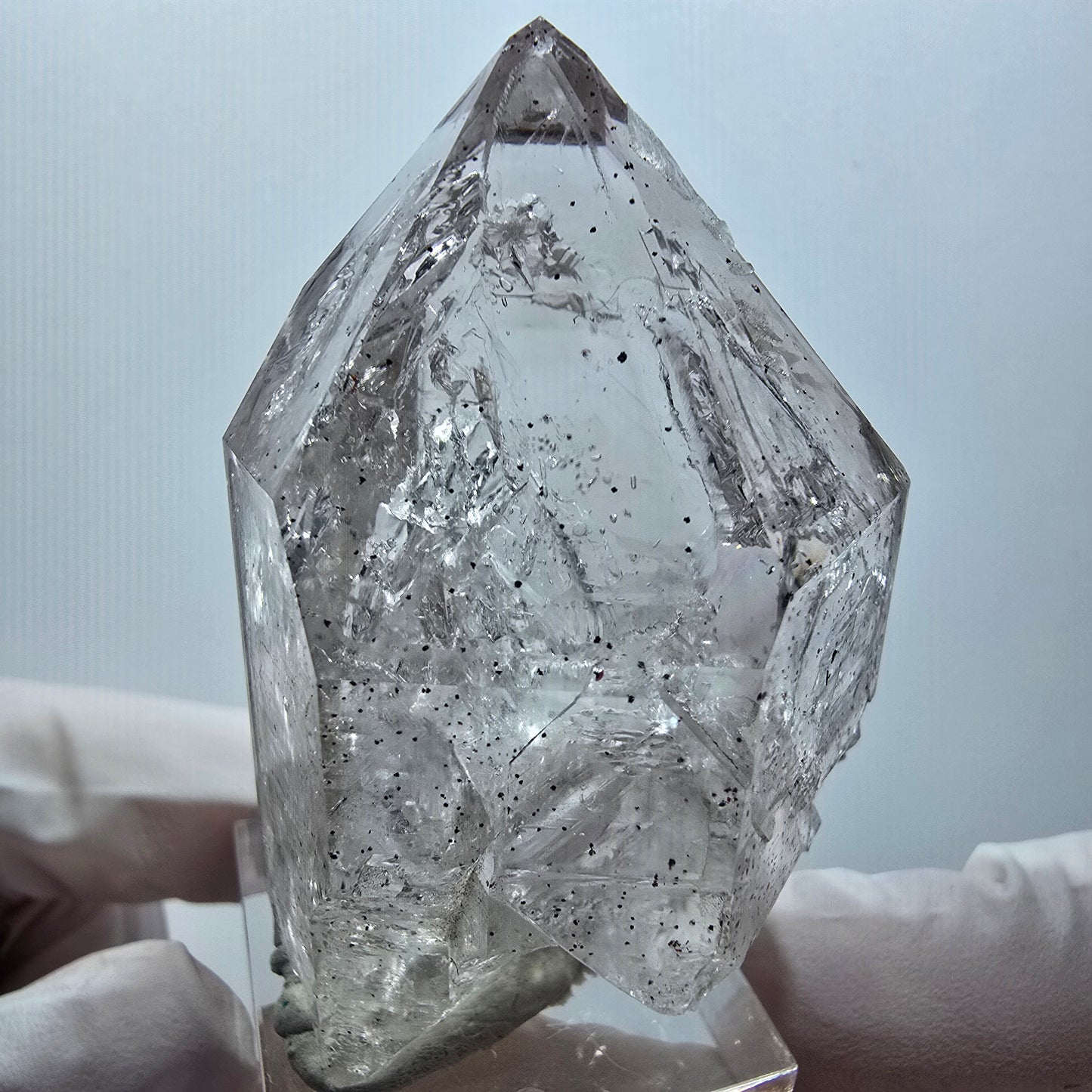 Enhydro Skelett Phantom Rauchquarz DT Zepter, 1x Blase Goboboseb, Namibia 56*36*29mm