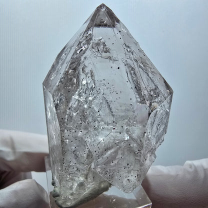 Enhydro Skelett Phantom Rauchquarz DT Zepter, 1x Blase Goboboseb, Namibia 56*36*29mm