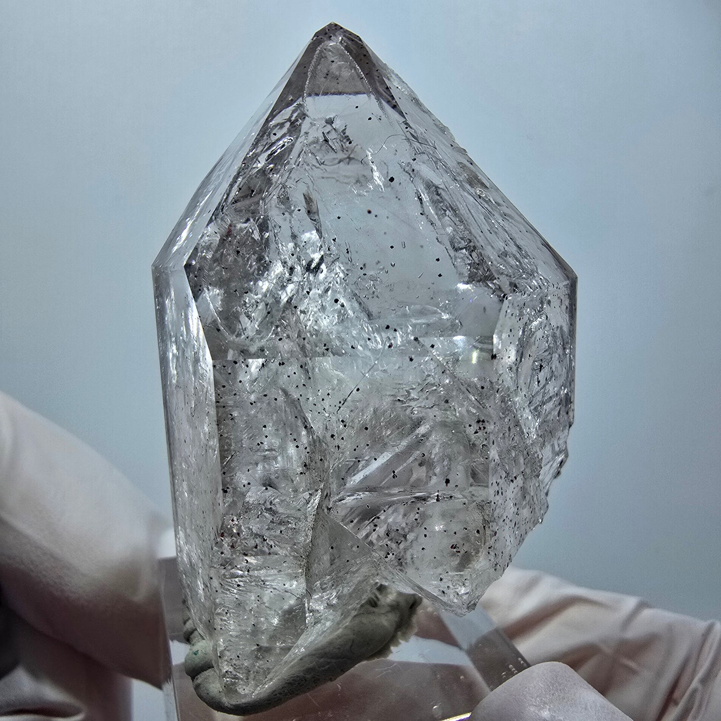 Enhydro Skelett Phantom Rauchquarz DT Zepter, 1x Blase Goboboseb, Namibia 56*36*29mm