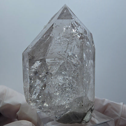 Enhydro Skelett Phantom Rauchquarz DT Zepter, 1x Blase Goboboseb, Namibia 56*36*29mm