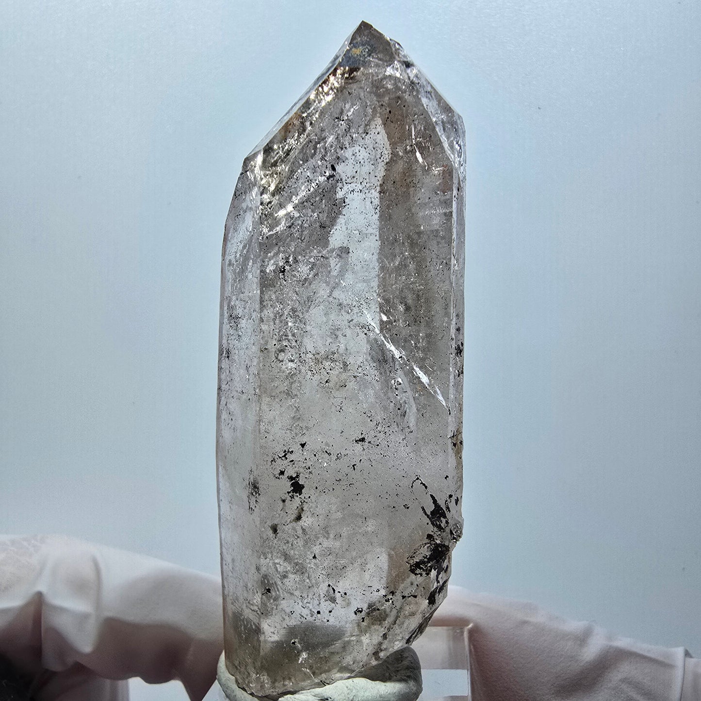 Enhydro Skelett Rauchquarz DT Zepter, 1x Blase (groß) Goboboseb, Namibia 71*27*17mm