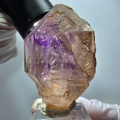 Seltene Skelett Phantom Amethyst Zepter Spitze Goboboseb, Namibia 55*32*32mm