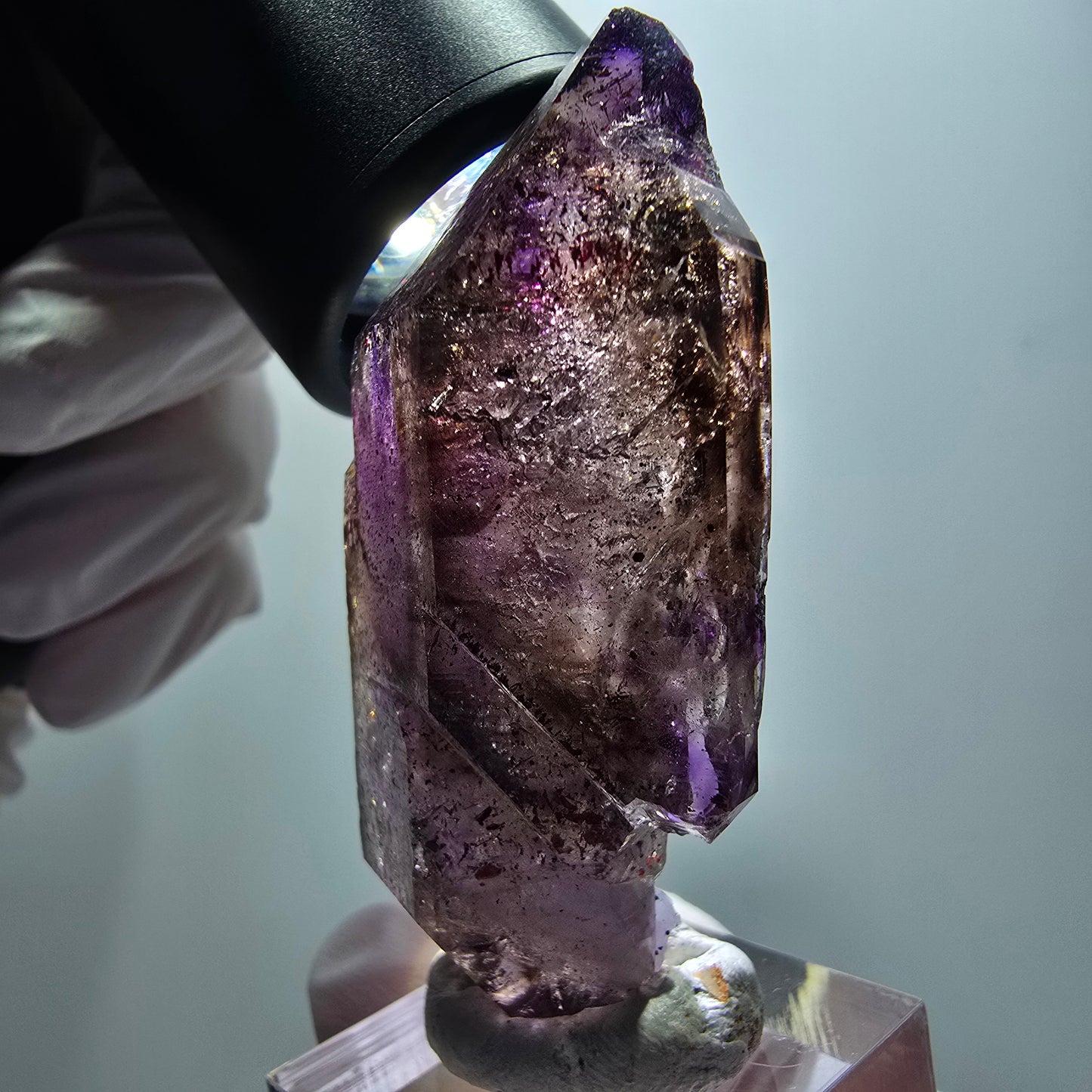 Enhydro Skelett Phantom Amethyst DT Zepter, Hämatit Goboboseb Namibia 60*28*15mm