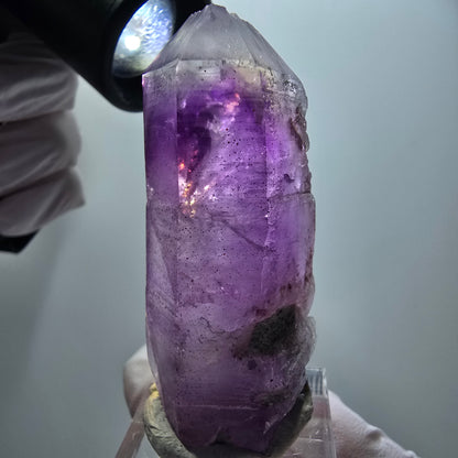 Seltene Lemurian Phantom Amethyst Skelett Spitze Goboboseb, Namibia 56*25*20mm