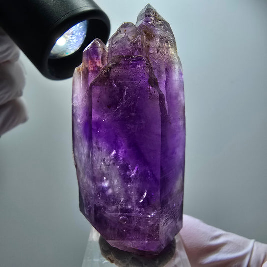 Seltene Skelett Phantom Amethyst DT Spitze Goboboseb, Namibia 67*32*24mm