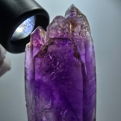 Seltene Skelett Phantom Amethyst DT Spitze Goboboseb, Namibia 67*32*24mm