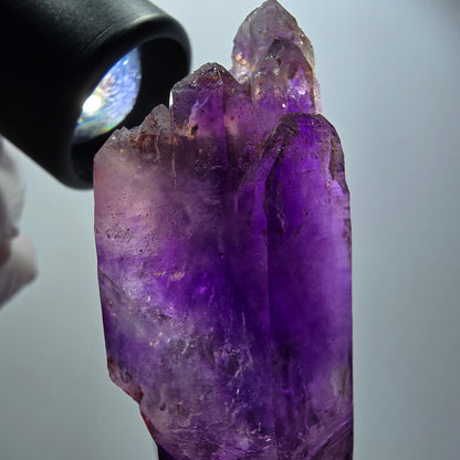 Seltene Skelett Phantom Amethyst DT Spitze Goboboseb, Namibia 67*32*24mm